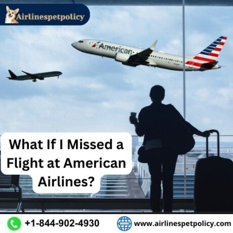 what-if-i-missed-a-flight-at-american-airlines-big-0