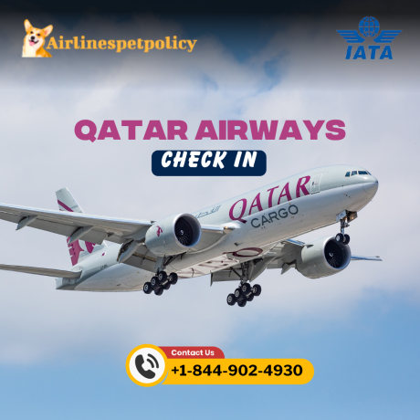 how-to-check-in-qatar-airways-fee-time-process-big-0