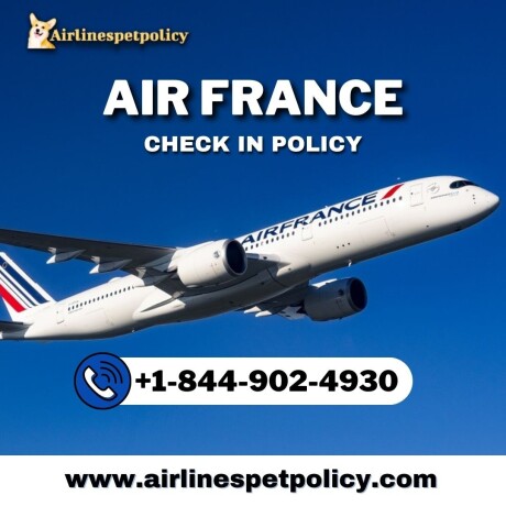 how-do-i-check-in-with-air-france-big-0