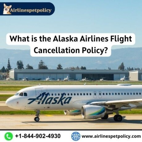 what-is-the-alaska-airlines-flight-cancellation-policy-big-0