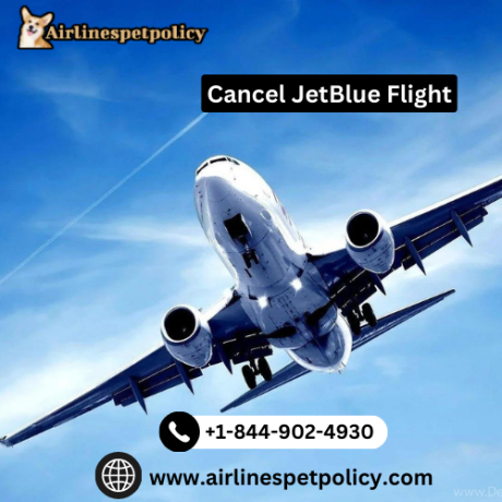 how-to-cancel-a-jetblue-airways-flight-big-0