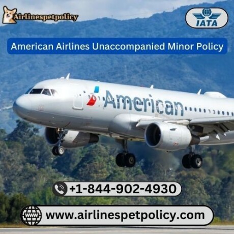 what-is-american-airlines-unaccompanied-minor-policy-big-0