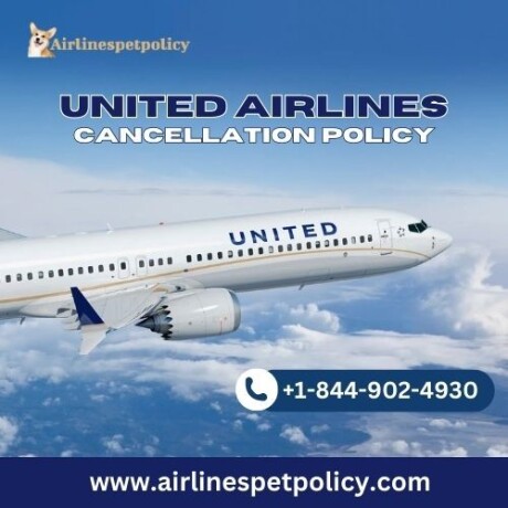 what-is-united-airlines-cancellation-policy-big-0