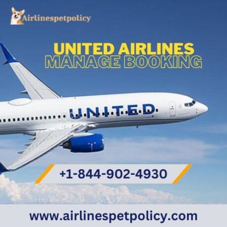 how-can-i-manage-my-booking-at-united-airlines-big-0