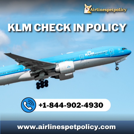 how-do-i-check-in-on-klm-big-0