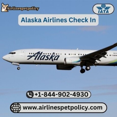 how-to-check-in-alaska-airlines-big-0