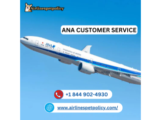 How Can I Contact ANA? | All Nippon Airways Helpline 24/7