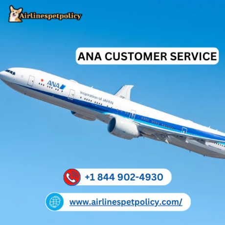 how-can-i-contact-ana-all-nippon-airways-helpline-247-big-0