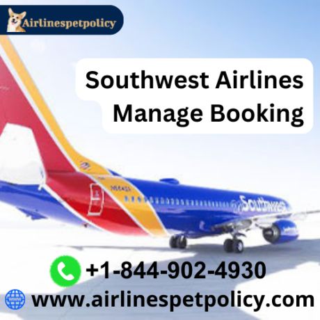how-can-i-manage-southwest-airlines-flights-big-0