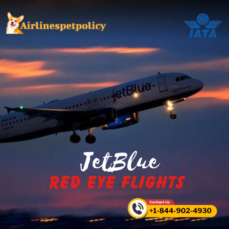 how-to-book-red-eye-flight-with-jetblue-big-0