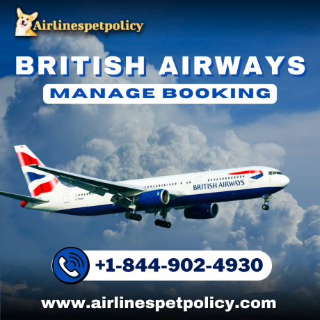 how-to-use-british-airways-manage-booking-option-big-0