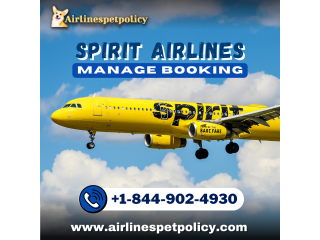 How To Manage Your Spirit Airlines reservations?