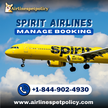 how-to-manage-your-spirit-airlines-reservations-big-0