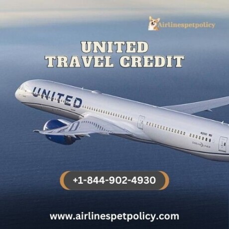 how-to-use-united-travel-credit-big-0