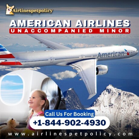 how-can-i-book-a-flight-for-an-unaccompanied-minor-on-american-airlines-big-0