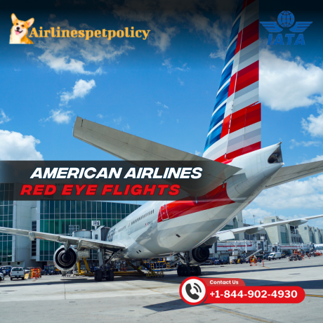 how-do-i-find-american-airlines-red-eye-flights-big-0