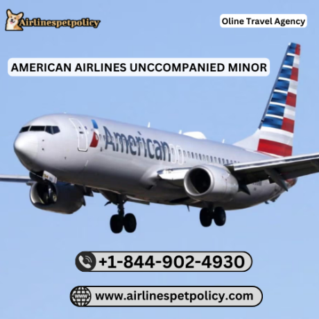 how-much-is-the-unaccompanied-minor-fee-for-american-airlines-big-0