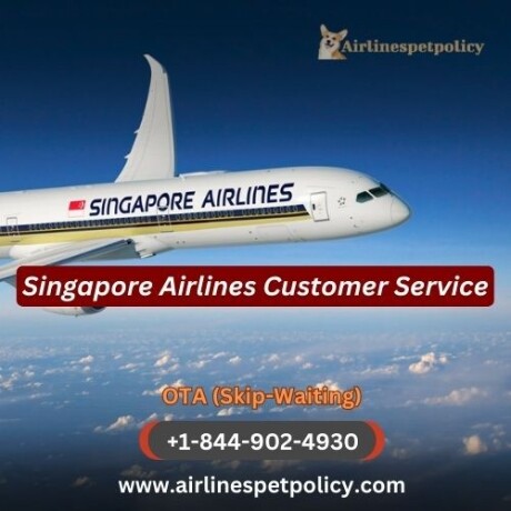 how-do-i-contact-singapore-airlines-customer-service-big-0