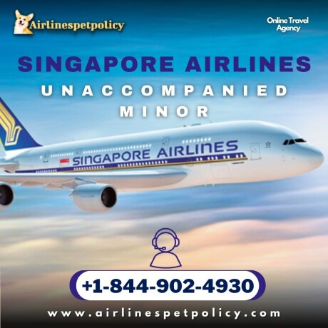 how-do-i-book-an-unaccompanied-minor-flight-on-singapore-airlines-big-0