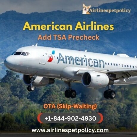how-to-add-tsa-precheck-to-american-airlines-big-0