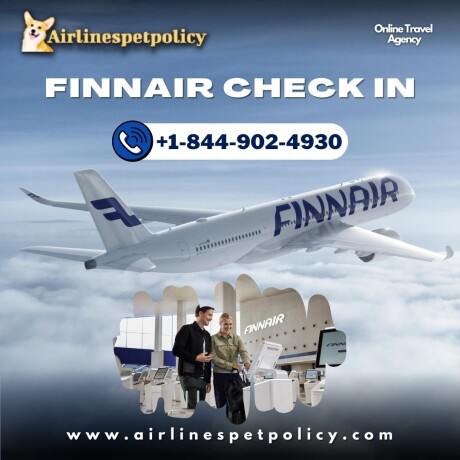 how-early-can-you-check-in-for-a-finnair-flight-big-0