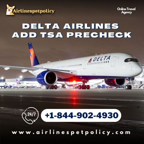 how-do-i-add-my-tsa-precheck-to-delta-airlines-big-0