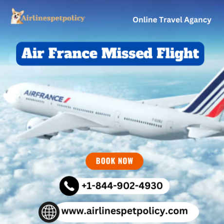 how-do-i-rebook-a-flight-after-missing-an-air-france-flight-big-0