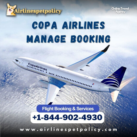 how-can-i-manage-my-booking-on-copa-airlines-big-0