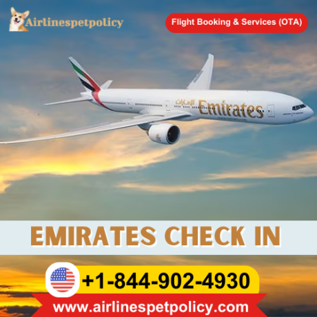 how-do-i-check-in-for-my-emirates-flight-online-big-0