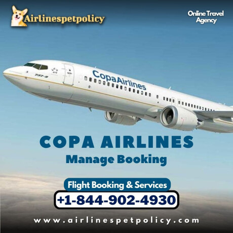 how-to-manage-my-booking-at-copa-airlines-big-0
