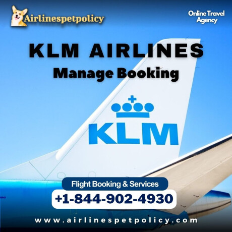 how-to-manage-booking-with-klm-airlines-big-0