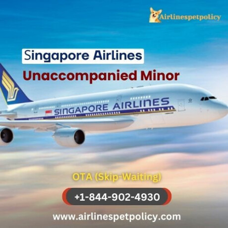 what-is-the-unaccompanied-minor-policy-in-singapore-airlines-big-0