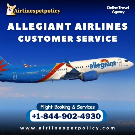 how-do-i-speak-to-someone-at-allegiant-airlines-big-0