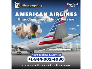 How much is the UMNR fee for American Airlines?