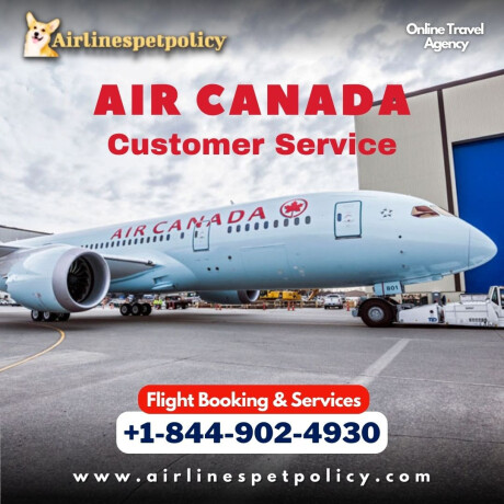 how-do-i-speak-to-someone-at-air-canada-big-0