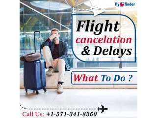 United Flight Delay Compensation | FlyOfinder