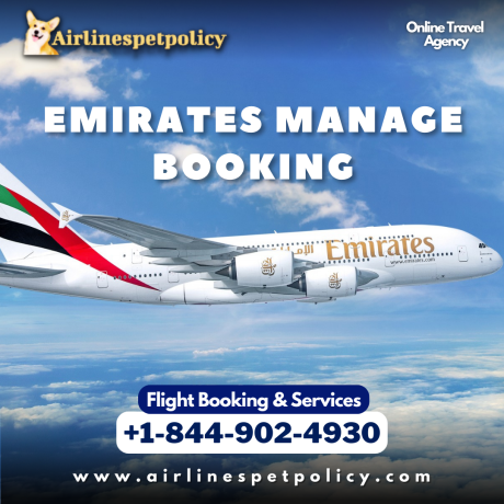 how-do-i-manage-my-emirates-booking-big-0