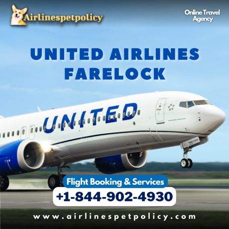 how-to-do-farelock-on-united-big-0