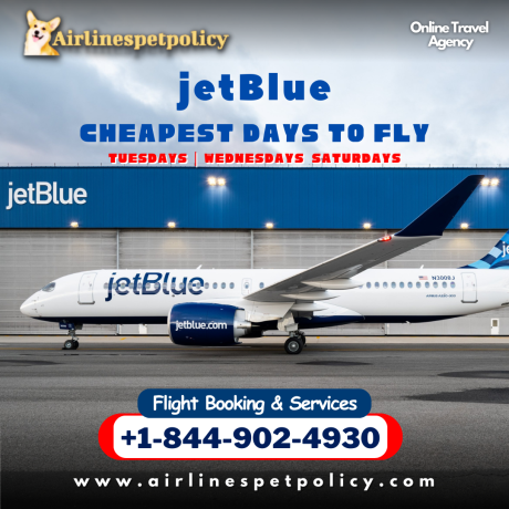 what-is-the-cheapest-day-to-fly-on-jetblue-big-0