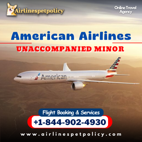 at-what-age-can-a-child-fly-alone-on-american-airlines-big-0