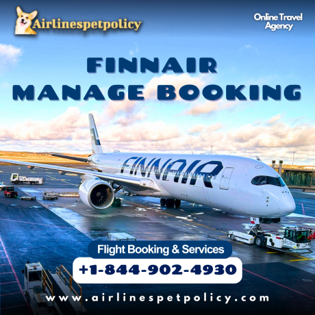 how-to-manage-my-booking-at-finnair-big-0
