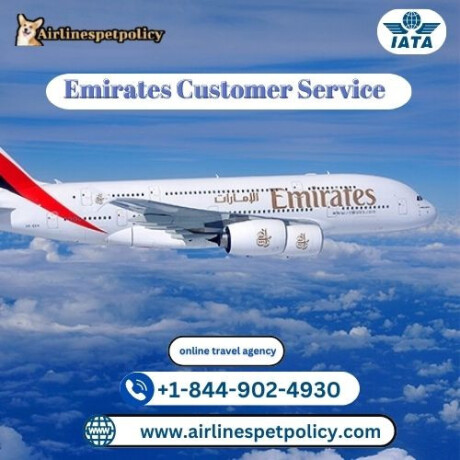 how-can-i-talk-to-emirates-airlines-customer-service-big-0