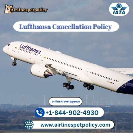 how-to-cancel-lufthansa-booking-big-0