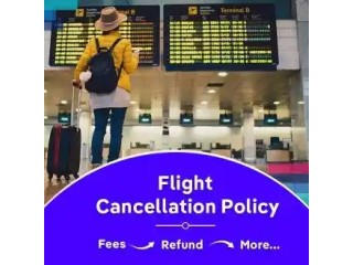 How to Cancel American Airlines Flight? | FlyOfinder
