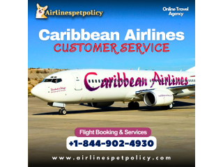 How can I contact Caribbean Airlines Customer Service?