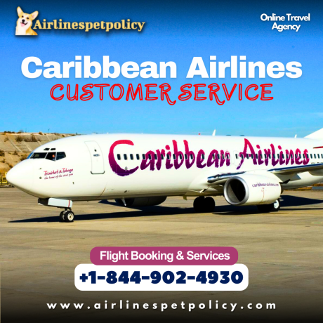 how-can-i-contact-caribbean-airlines-customer-service-big-0