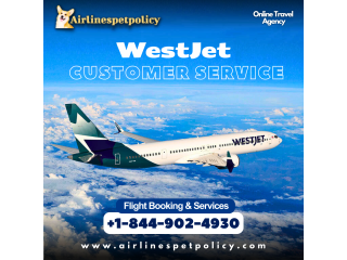How do I talk to a WestJet agent?