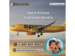 How do I contact Spirit Airlines customer service?