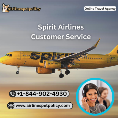 how-do-i-contact-spirit-airlines-customer-service-big-1