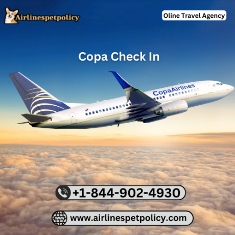 how-can-i-check-in-for-my-copa-airlines-big-0